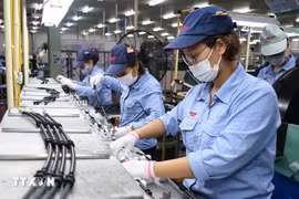 附图。图自越通社
