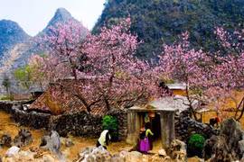 老街省沙坝镇（图片来源于网络）