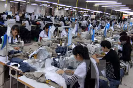 ​附图。（图片来源：越通社）