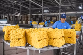 越南橡胶出口增速反弹