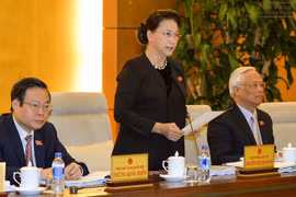 越南国会主席阮氏金银在开幕式上发表讲话