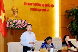 国会副主席冯国显在会上发表讲话。（图片来源：越通社）