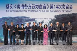 出席落实《东海各方行为宣言》第14次高官会的代表合影。（图片来源：越通社）