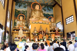 庞龙寺国泰民安祈求大典吸引众多旅居老挝越南人参加（图片来源：越通社）