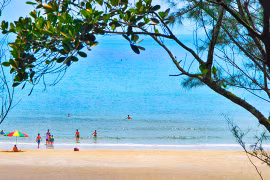 坐在阎浮树林观中赏明珠海滩的美景。