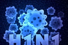 缅甸甲型H1N1流感已致死10人