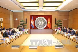 越南国会副主席丛氏放同柬埔寨参议院第一副主席奈北纳举行会谈