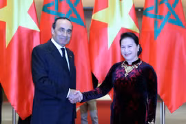 越南国会主席阮氏金银与摩洛哥众议院议长哈比博·马勒克举行会谈