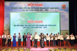 越南农民生产经营能手全国代表大会在河内举行 