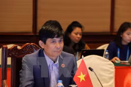 越南常驻东盟代表团团长阮横年（图片来源：越通社）