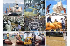 附图（图片来源于网络）