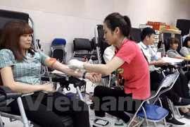 附图。（图片来源：越通社）