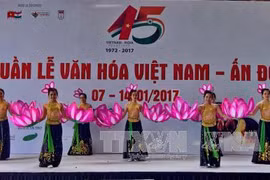 越印文化周活动（图片来源：越通社）