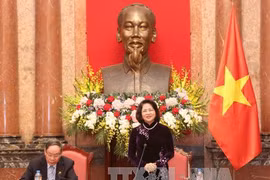 越南国家副主席邓氏玉盛在见面会上发表讲话（图片来源：越通社）