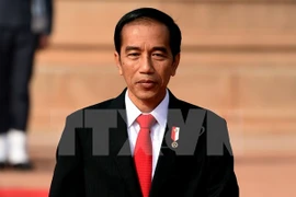 印尼总统佐科（Joko Widodo）（图片来源:越通社）