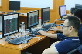 附图。（图片来源：越通社）