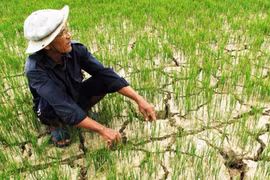 气候变化带来越来越严重的影响。（图片来源于因特网）