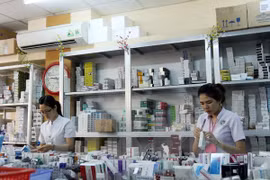 附图。（图片来源：越通社）