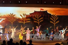 “2017年家乡之春”活动上的艺术表演节目。