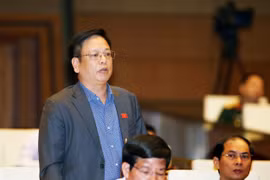 国会代表发表讲话。（图片来源：越通社）