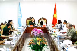 联合国维和行动部代表与越南维和中心举行工作会谈。