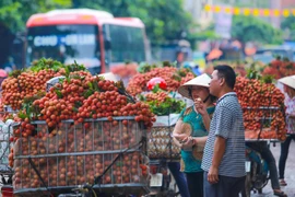 附图（图片来源：越通社）