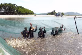 金瓯省力争充分开发海洋经济潜力