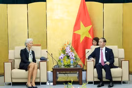 越南国家主席陈大光会见国际货币基金组织总裁克里斯蒂娜•拉加德