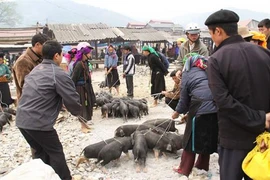 一闻到阵阵扑鼻而来的香味就令人垂涎欲滴的 “腋夹”猪脆皮烤肉。