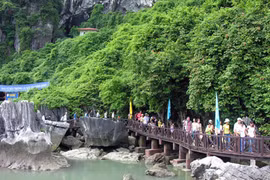 附图（图片来源：因特网）