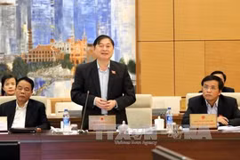 越南第十四届国会常委会成员在会议上发表讲话（图片来源：越通社）