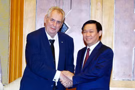 越南政府副总理王廷惠（右）会见捷克总统米洛什•泽曼。