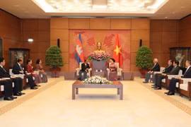 韩桑林与阮氏金银举行会谈（图片来源：越通社）