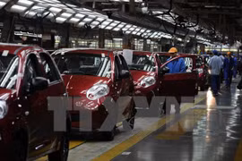 附图。（图片来源：越通社） 