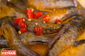 姜黄焖虾虎鱼成菜。