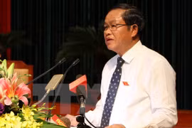 越南国会副主席杜伯巳