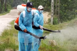 喷灭蚊剂。（图片来源：越通社）