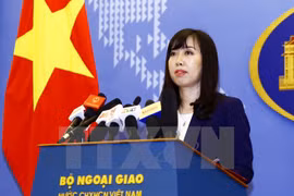 越南外交部发言人黎氏秋姮