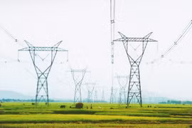 附图。（图片来源：因特网）