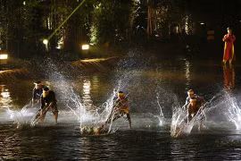 “当年的西区” 水上木偶戏。（图片来源：人民报网）