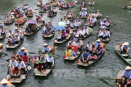 宁平省贵明大王圣庙会吸引众多游客前来参加