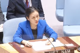 越南常驻联合国代表阮芳娥大使