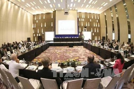 2017年亚太经合组织（APEC）第一次高官会及系列会议（图片来源：越通社）