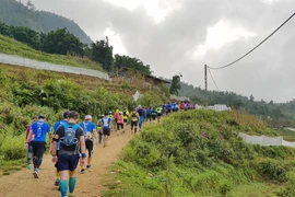 2017年越南山地马拉松比赛吸引2200名选手参赛