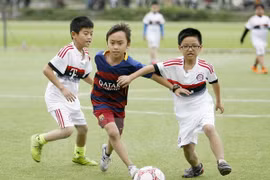 附图。（图片来源：越通社）