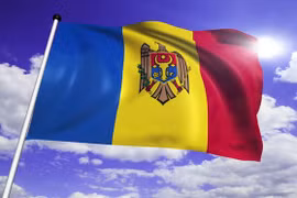 附图。（图片来源于网络）