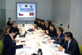 嘉莱省代表团与捷克经济总会副主席Borivoj Minar和该国经济专家进行交谈
