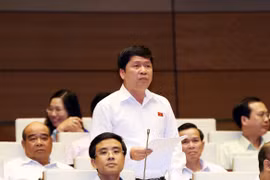 国会代表发表讲话。（图片来源：越通社）