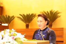 越南国会主席阮氏金银在会上发表讲话。（图片来源：越通社）