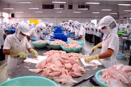 附图（图片来源于网络）